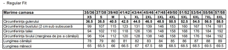 Camasa Orbis Carouri Verzi, Pentru Barbati