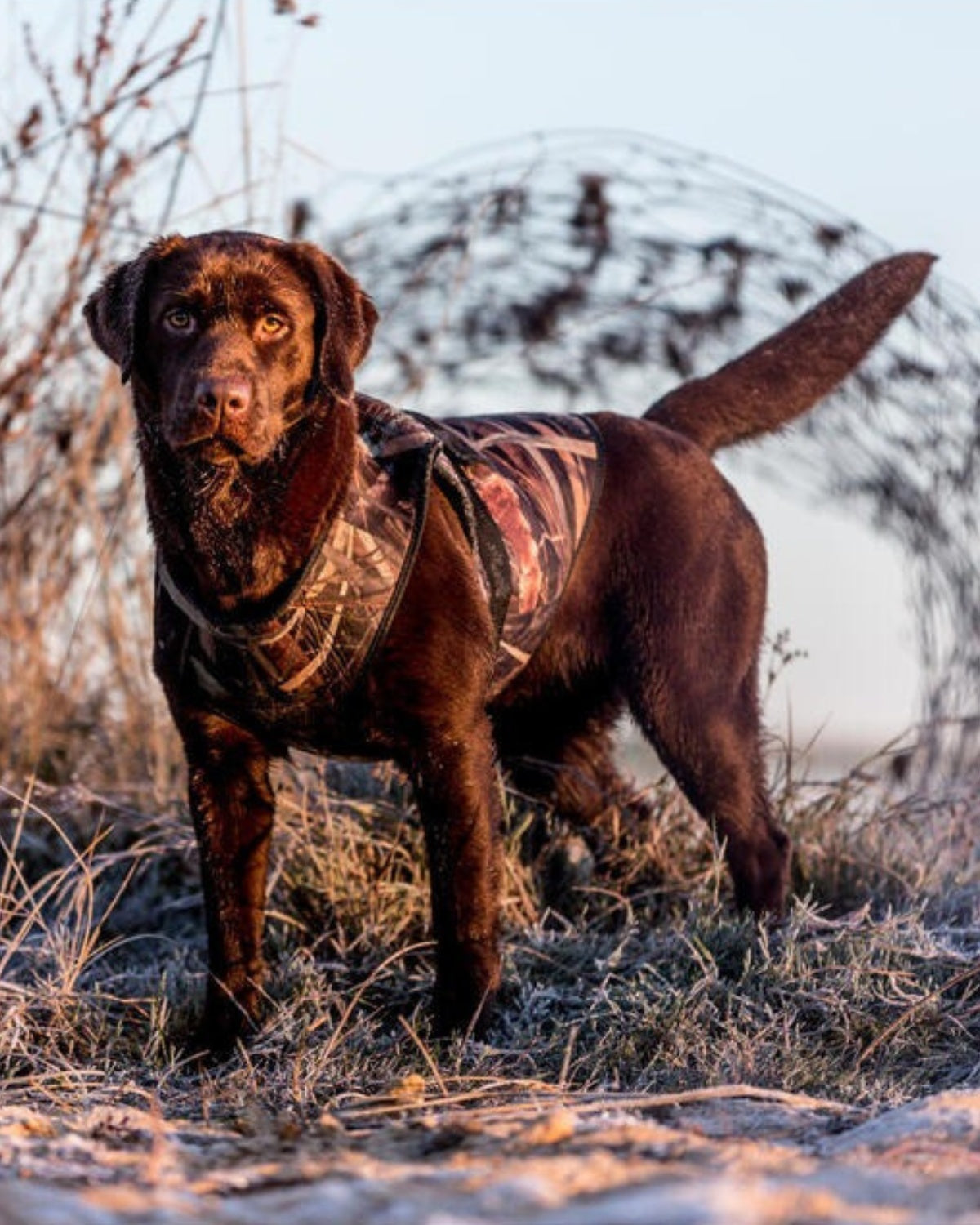 Vesta Neopren Sologniac